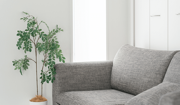 ソファと観葉植物