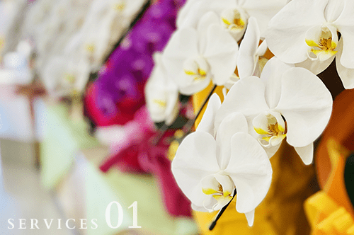 開店・周年のフラワーギフト